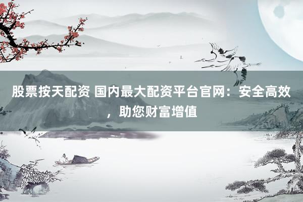 股票按天配资 国内最大配资平台官网：安全高效，助您财富增值