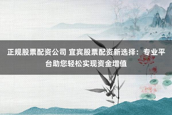 正规股票配资公司 宜宾股票配资新选择：专业平台助您轻松实现资金增值
