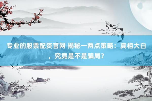 专业的股票配资官网 揭秘一两点策略：真相大白，究竟是不是骗局？